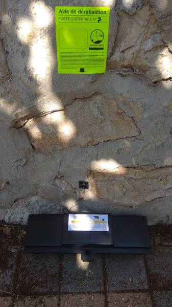 Dératisation extérieure préventive Toulon 