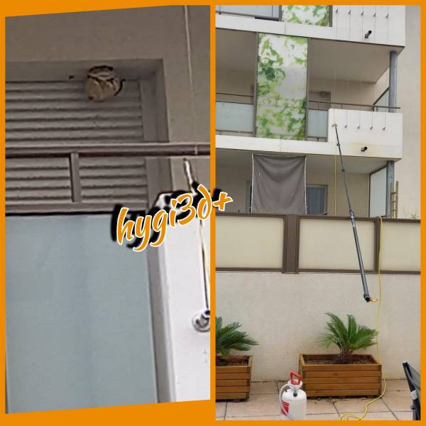 Eliminer un nid de frelons sur terrasse à La Valette du Var