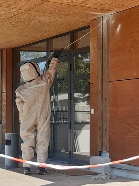 Professionnel pour se débarrasser d'un nid de guêpes à Pignans Var
