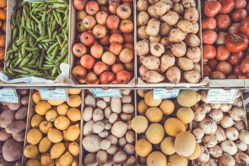 Dératiser un commerce almentaire Ollioules Var