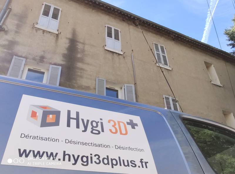 NID DE FRELONS SUR FACADE