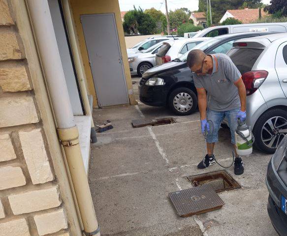 Traitement de cafards par les égouts Les Sablettes 83500