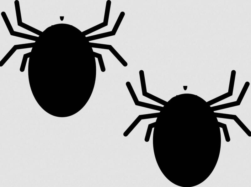 Entreprise de désinsectisation La Valette-du-Var